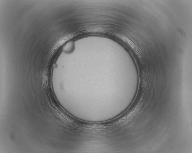 X0000115450922200912021003