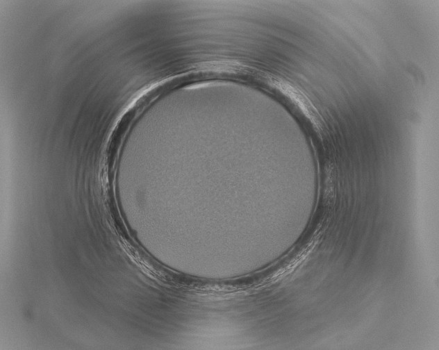 X0000115450923200912021003