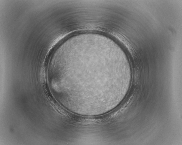 X0000115450925200912021003