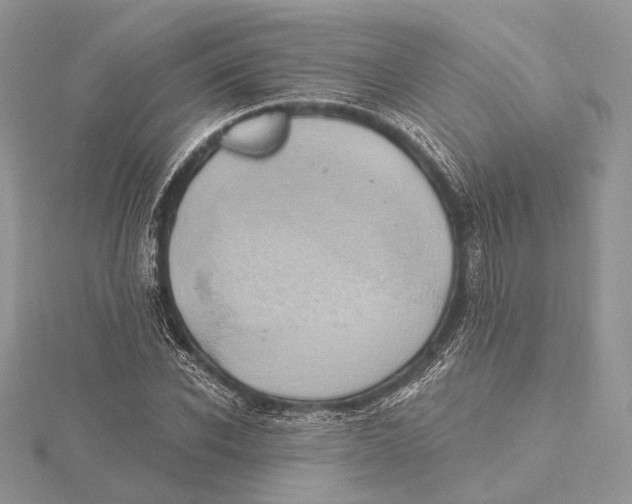 X0000115450926200912021003