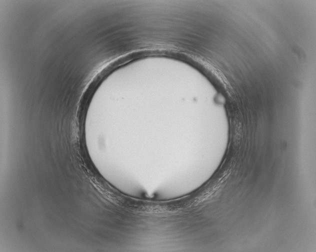 X0000115450927200912021003