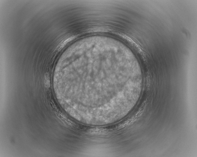 X0000115450929200912021003