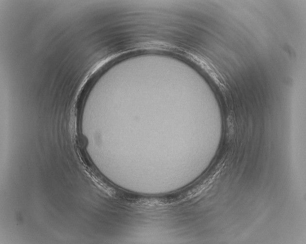 X0000115450931200912021003