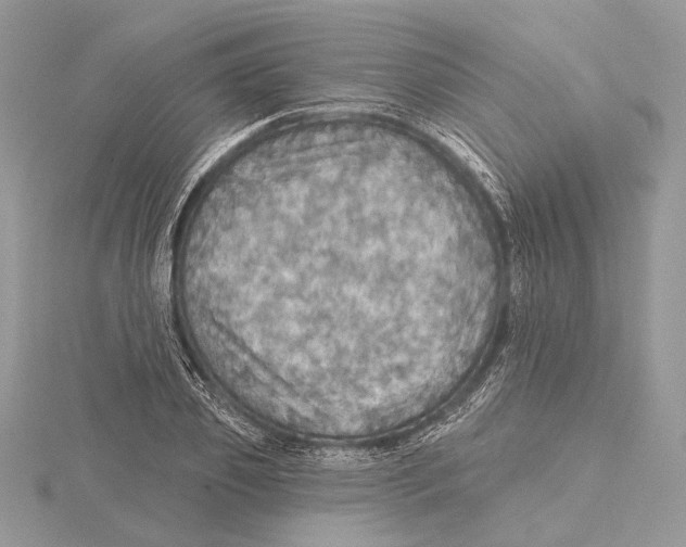 X0000115450933200912021003