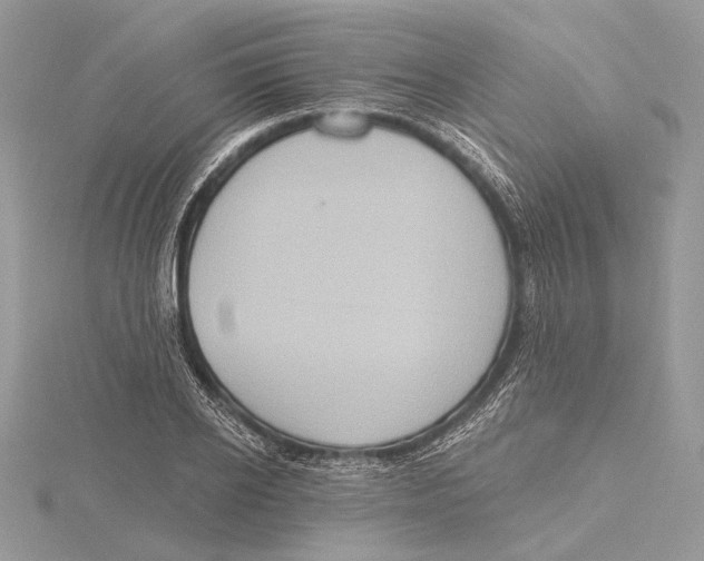 X0000115450934200912021003