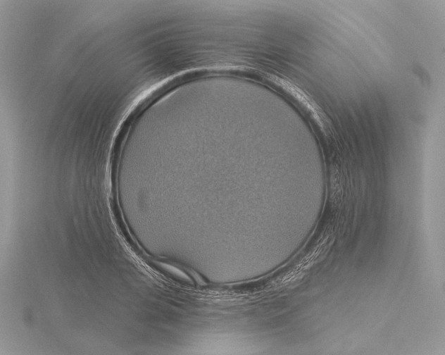 X0000115450935200912021003