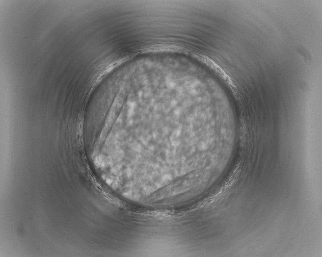 X0000115450937200912021003