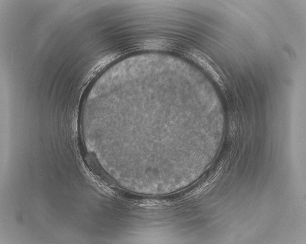 X0000115450938200912021003