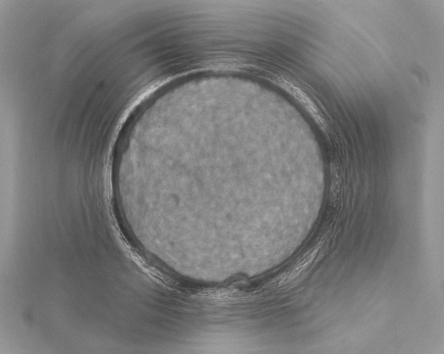 X0000115450939200912021003