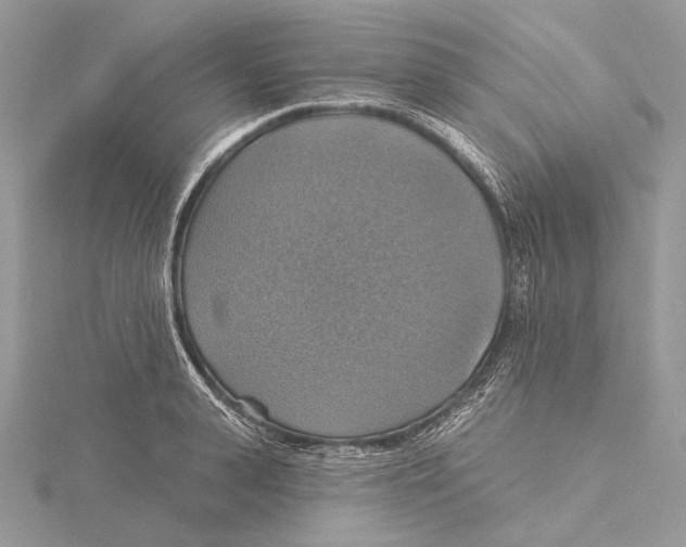 X0000115450943200912021003