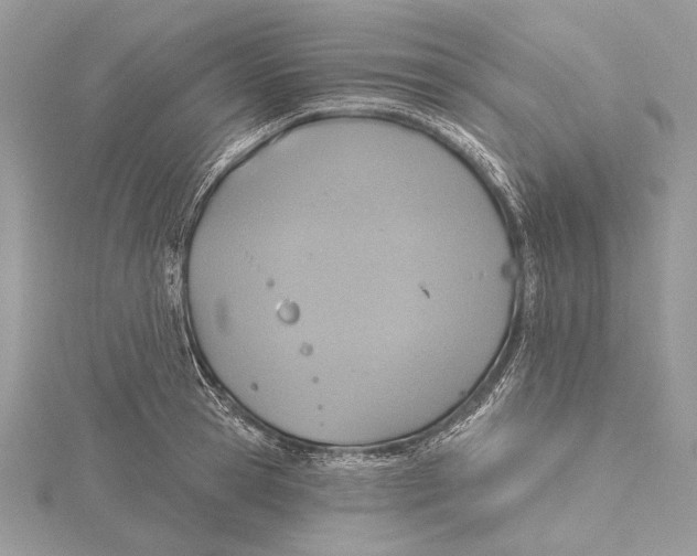 X0000115450945200912021003