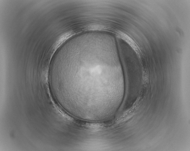 X0000115450946200912021003