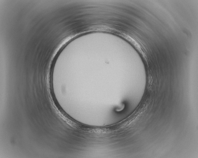 X0000115450947200912021003