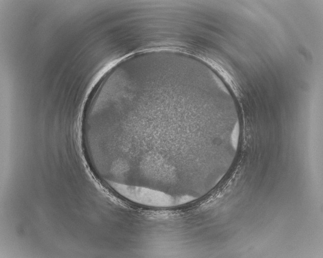 X0000115450949200912021003