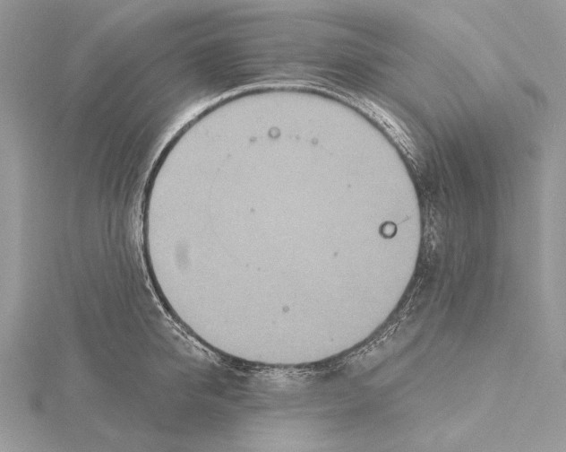 X0000115450950200912021003