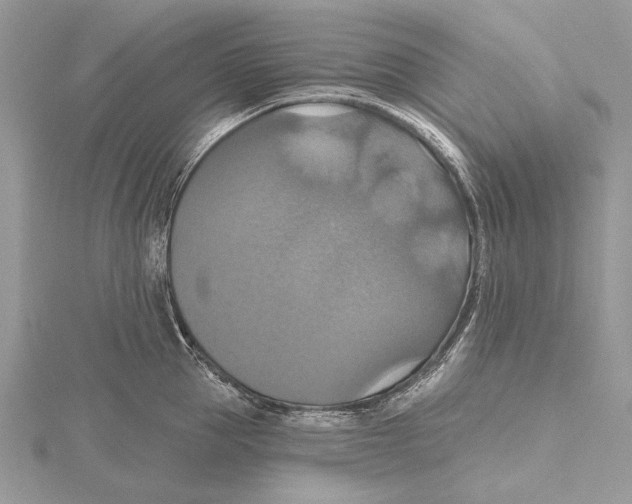 X0000115450953200912021003