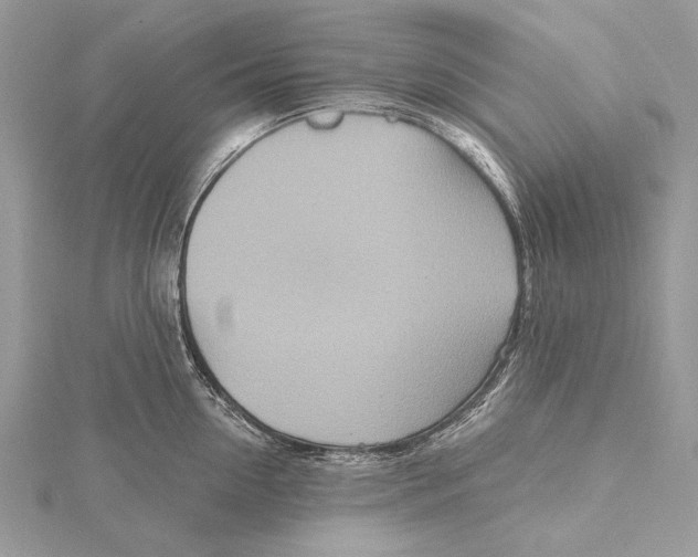 X0000115450954200912021003