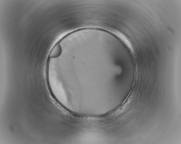 X0000115450958200912021003