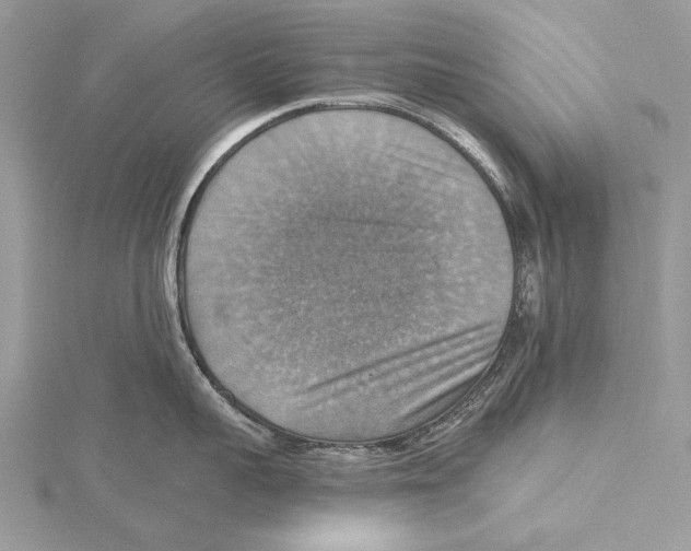 X0000115450959200912021003