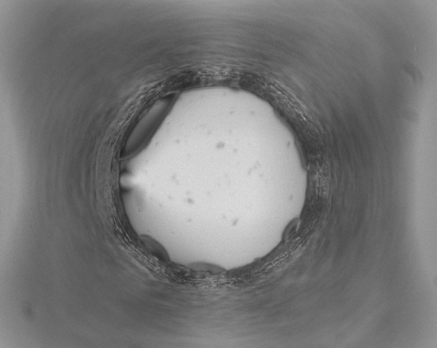 X0000115450961200912021003