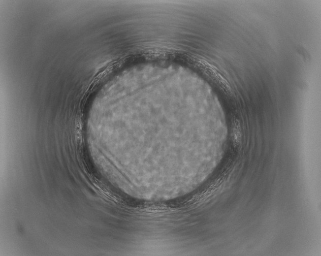 X0000115450964200912021003