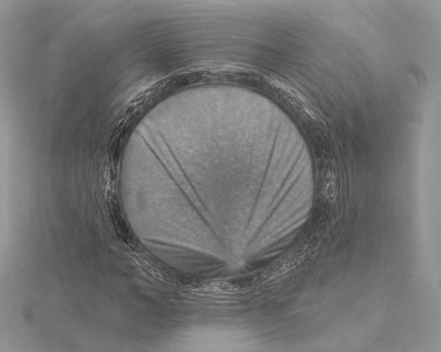 X0000115450966200912021003