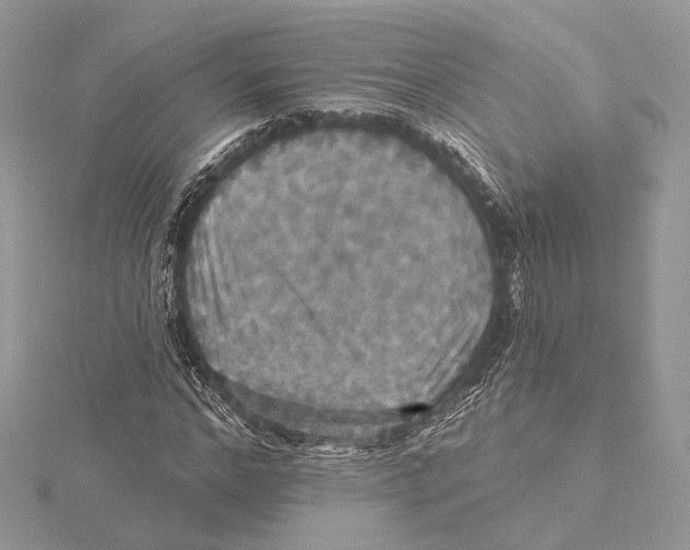 X0000115450968200912021002