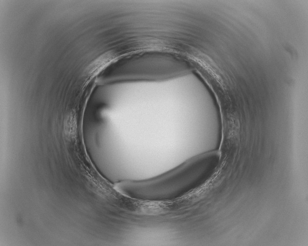 X0000115450969200912021002