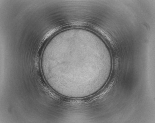 X0000115450970200912021002