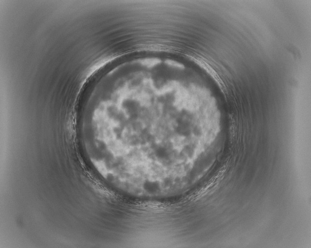 X0000115450971200912021002