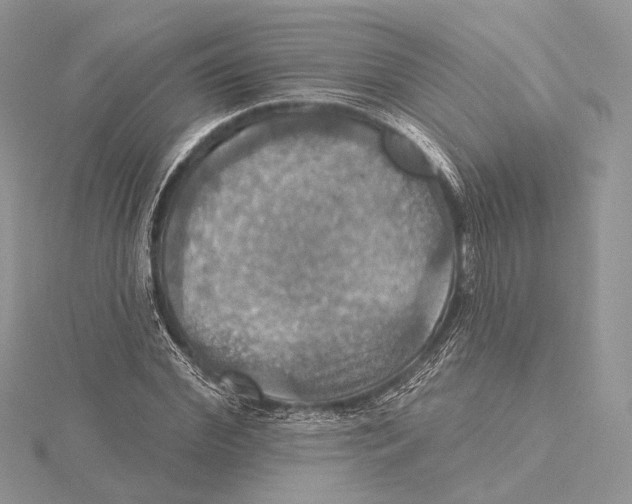 X0000115450972200912021002