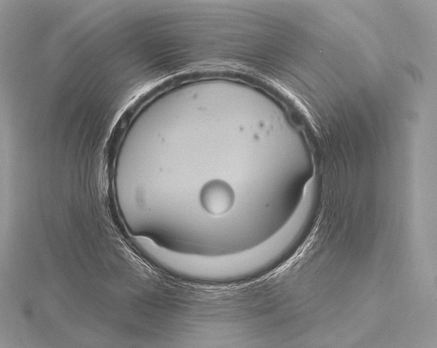 X0000115450973200912021002