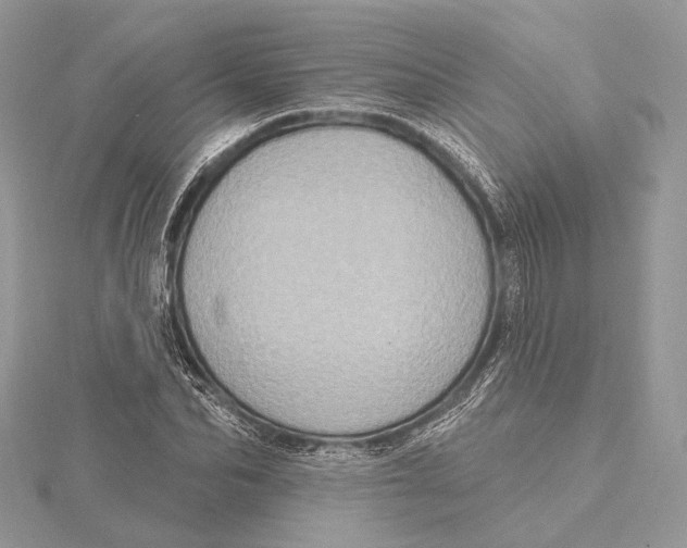 X0000115450974200912021002