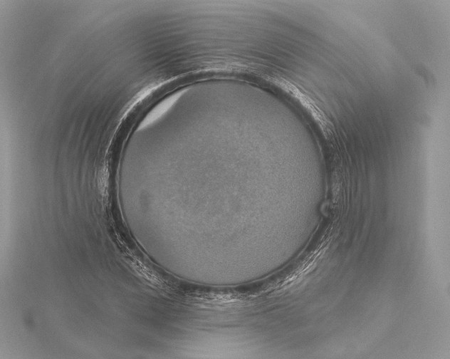 X0000115450975200912021002