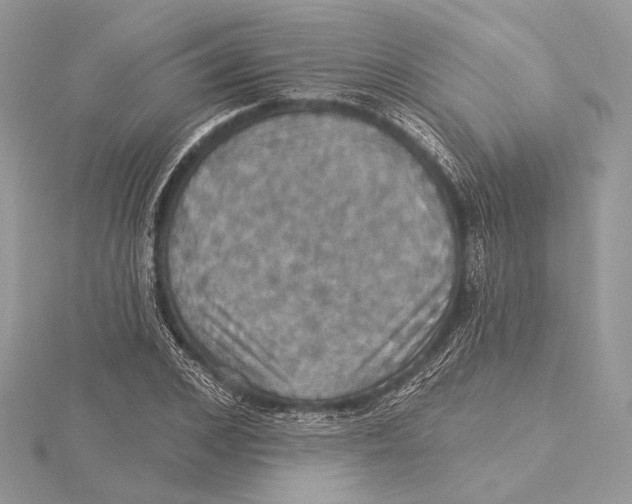 X0000115450976200912021002