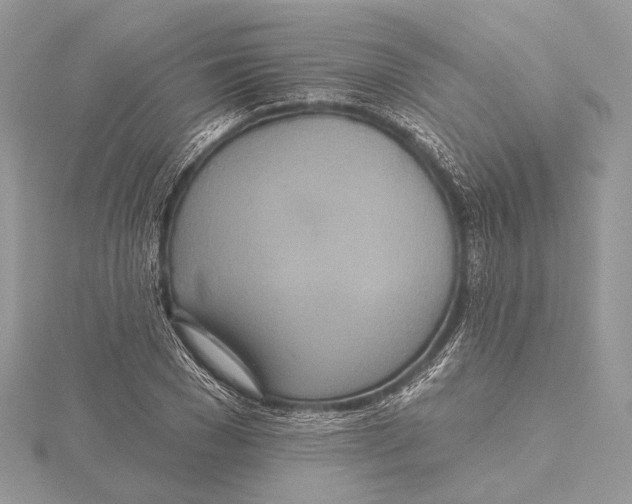 X0000115450977200912021002