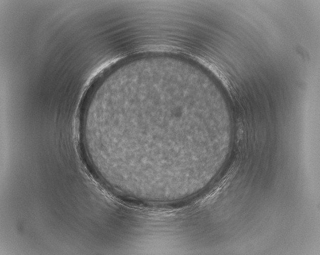 X0000115450979200912021002