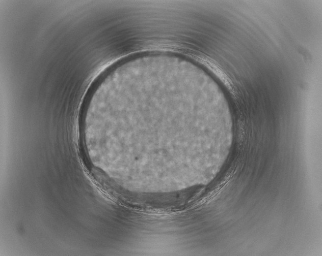 X0000115450980200912021002