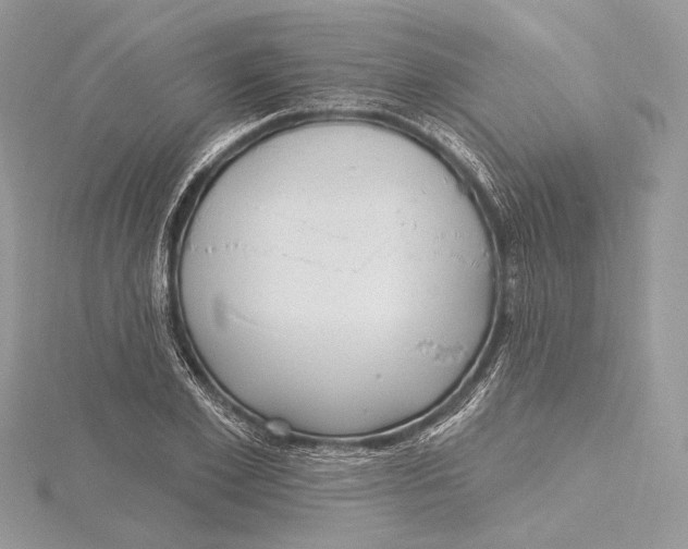 X0000115450981200912021002