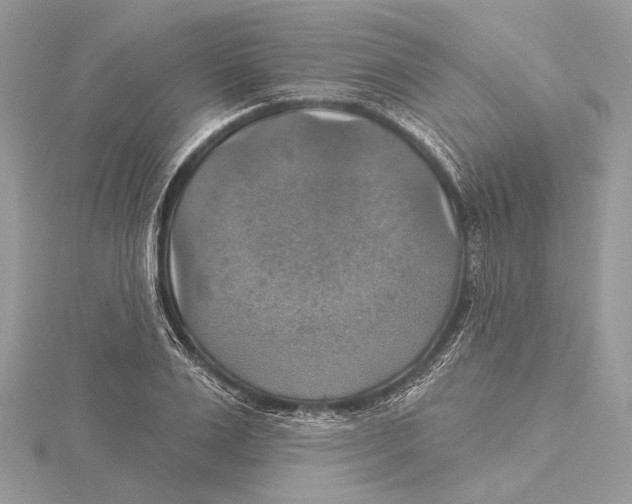 X0000115450983200912021002