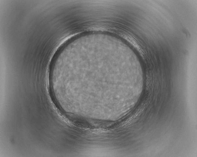 X0000115450984200912021002