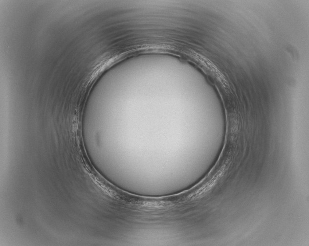 X0000115450985200912021002