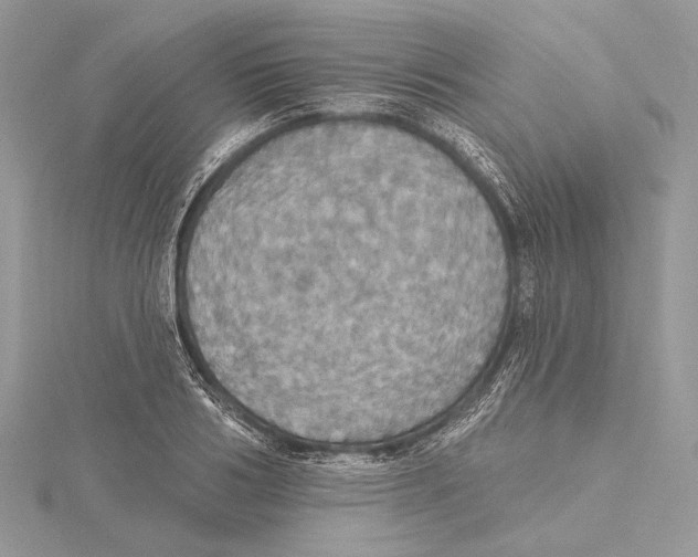 X0000115450986200912021002