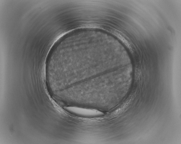 X0000115450988200912021002