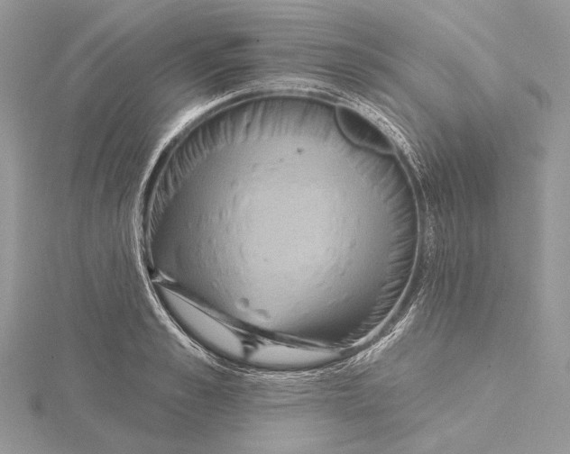 X0000115450989200912021002