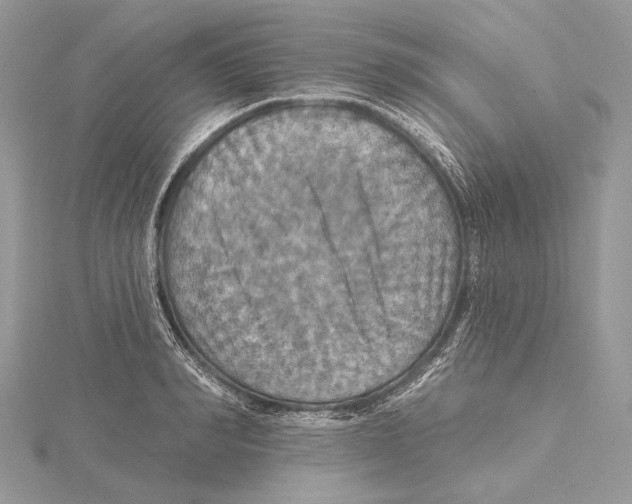 X0000115450990200912021002