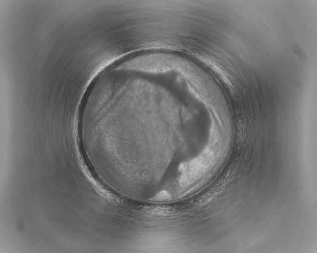 X0000115450991200912021002