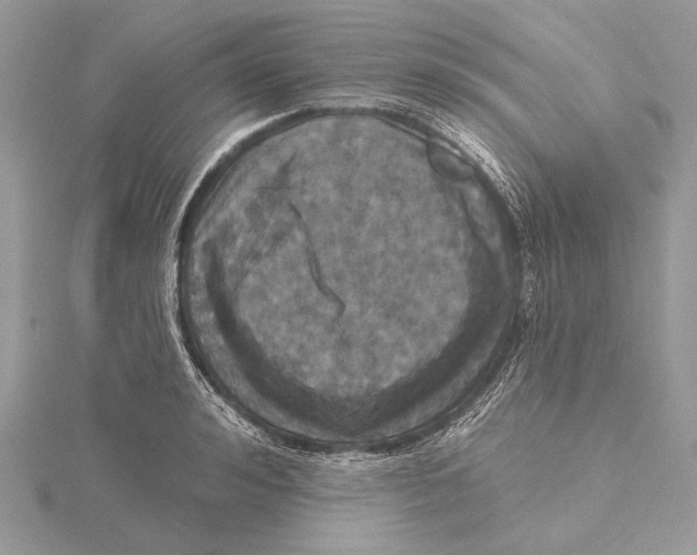 X0000115450992200912021002