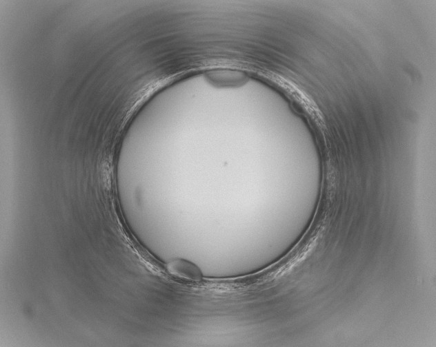 X0000115450993200912021002