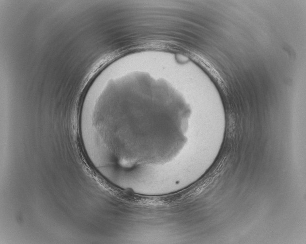 X0000115450994200912021002